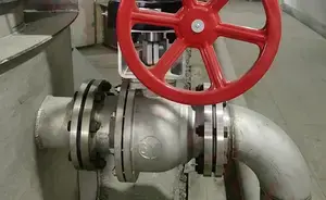 Pharmaceutical, Food and Beverage Industry